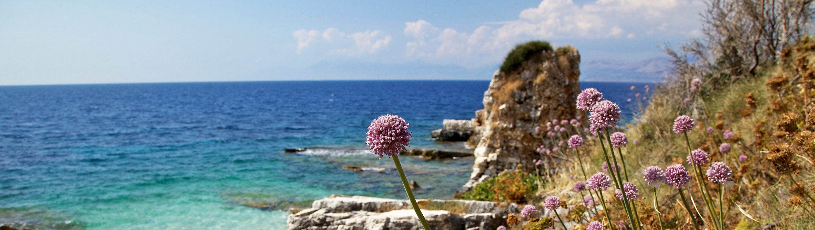 Mediterranean aboard MSC Orchestra