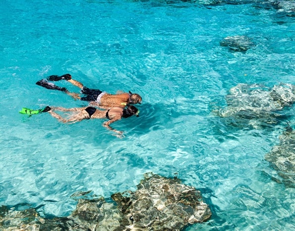 Ocean Cay MSC Marine Reserve | MSC Cruises