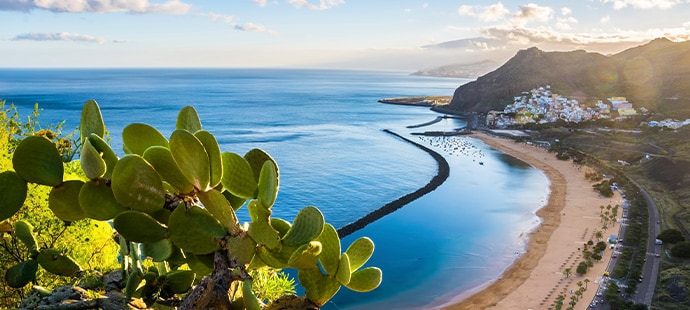 Cruise Canary Islands and Madeira \| MSC Cruises