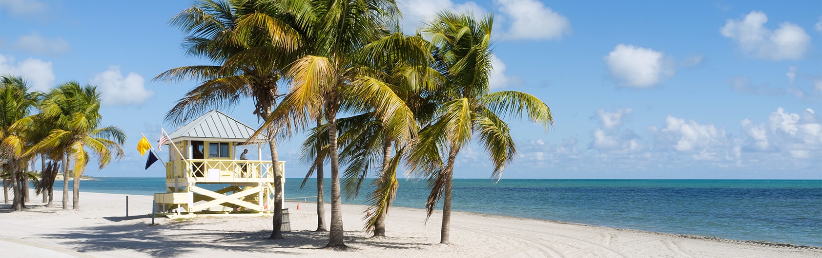 /-/media/us/itinerary-details/usa/miami/miami-desktop-v1.png?bc=transparent&as=1&mh=530&mw=1684&hash=E28C26F7C584E5927357C9460B198312